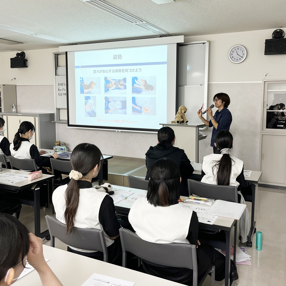 犬の行動学を学びます！
